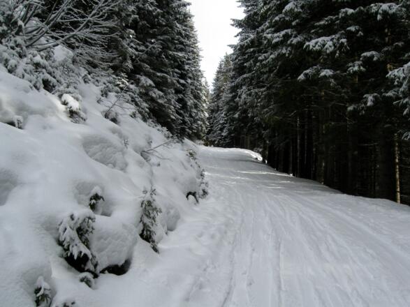 Am Beginn geht es über die Rodelbahn zur Peeralm.