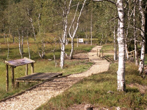 Themenweg am Hochmoor Wasenmoos