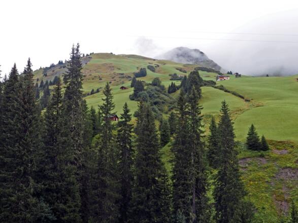 Almgebiet Schöneberg