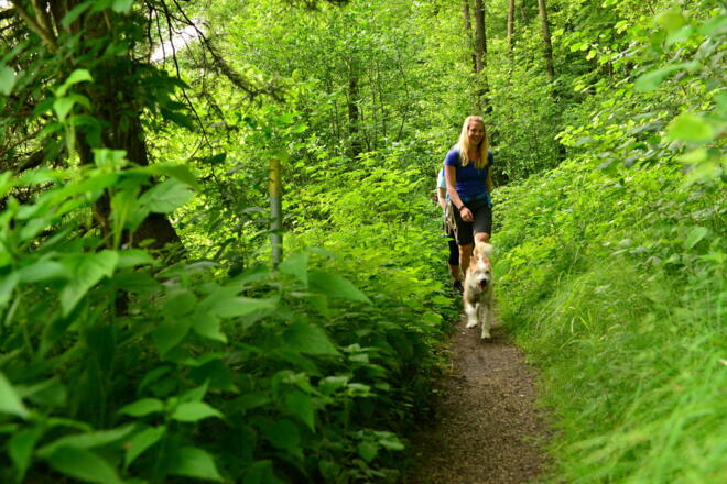 ein erlebnisreicher Streifzug