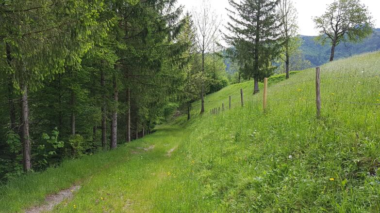 Abfahrt nach Bauernhof Heindl ind die Waldhütte.