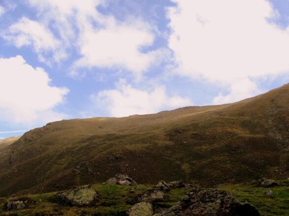 Wunderbare Almflächen - Der Aufstieg erfolgt über diese schönen Almwiesen - die sog. "Unlage"