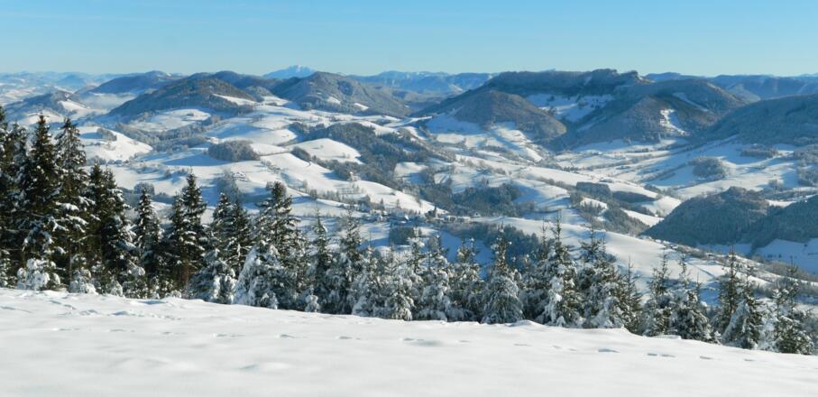 Blick vom Glasenberg nach Maria Neustift