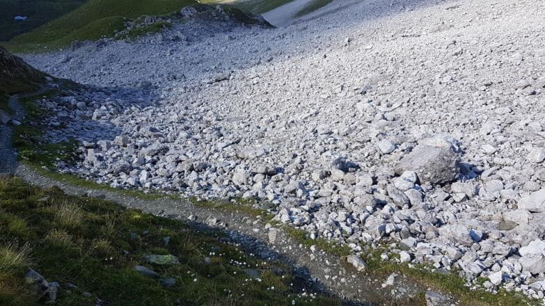 Schau genau ... Familie Schneehuhn!!!