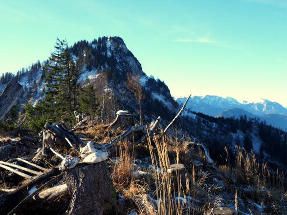 Gratschneide um 1270m mit Hochkogel