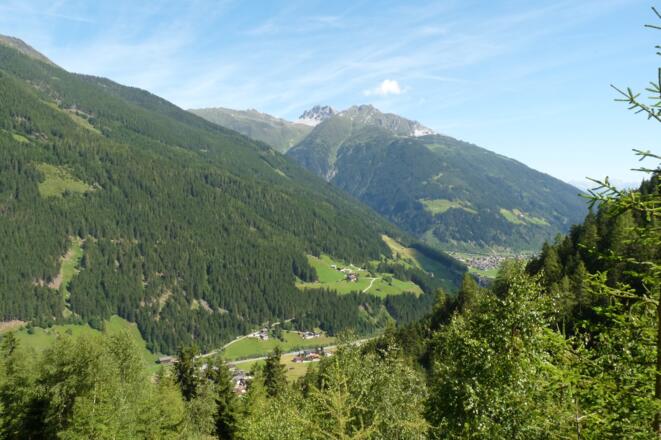 Immer wieder geben Waldlichtungen schöne Blicke auf die Bergwelt frei (hinten die Schlicker Seespitze/Kalkkögel).