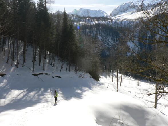 Im Tal zuerst noch ein kleines Stück über die flache Forststraße Richtung Dambach Ursprung
