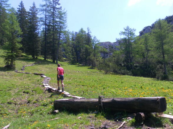 Hochmoor