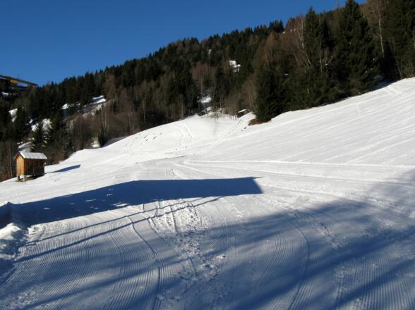 Zu Beginn geht es flach über Bauernwiesen.
