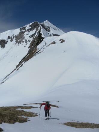 Steinfeldspitze