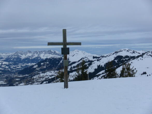 Laubkogel