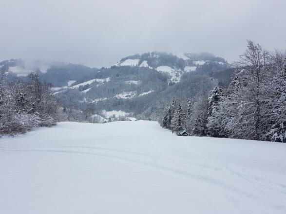 Ein Blickl zurück in den Stiedelsbach