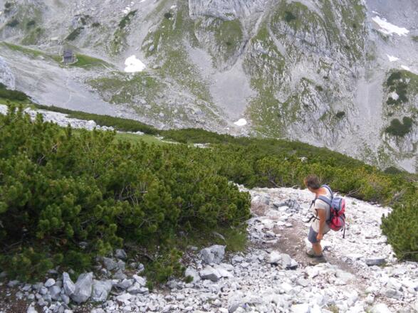 Latschenhang über der Pflaumhütte