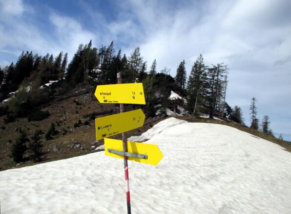 Wegtafel ober der Brombergalm 1450m