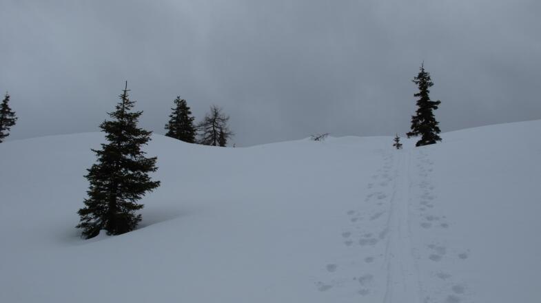 ... wohin führt unser weg ...