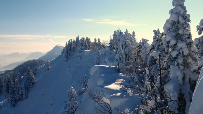 Gratkamm mit Schwarzkogel Hauptgipfel 1554m