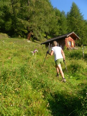 Ritterkaralm