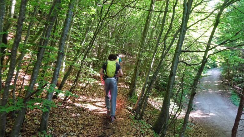 ... dann auf schmalem Wanderweg ...