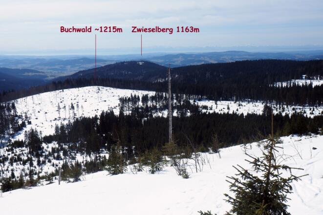 Abfahrt zum Buchwald (1325m)