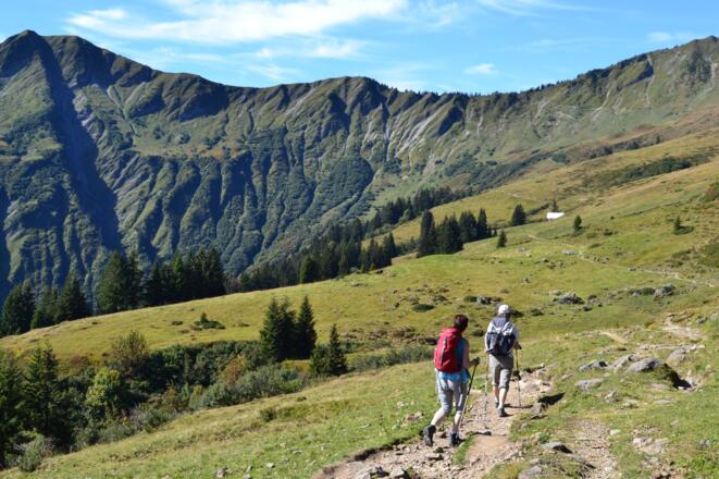 Kurz vor der Inneren Stierhofalpe mit Blick aufs Starzeljoch