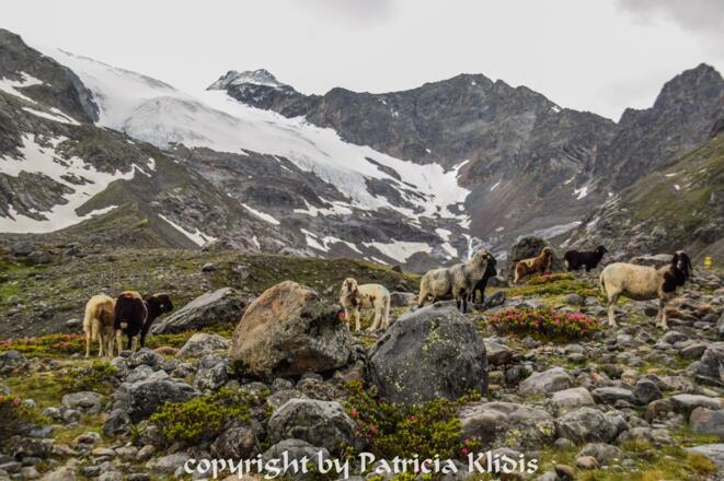 wir starten zum heutigen Tagesziel - dem Wilden Freiger