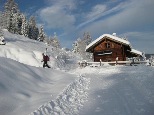 bei der Walchhofalm verläßt man den Güterweg