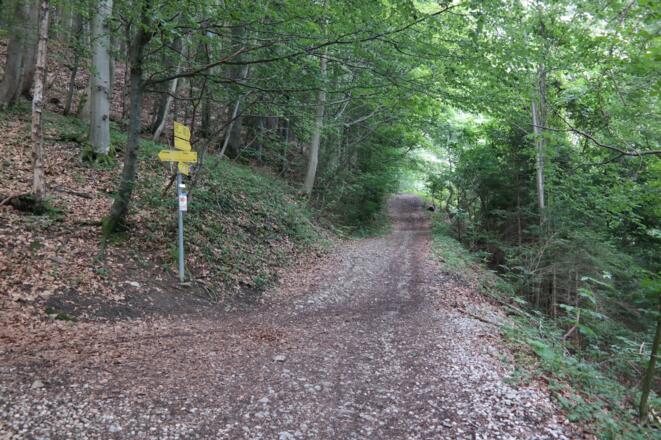 Die Kreuzung Ortnersteig/Mitterweg. Wir verlassen den Ortnersteig und wandern nach rechts auf dem Mitterweg weiter.