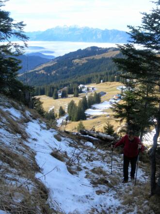 Gapfohlalpe vom Nordgratanstieg