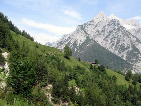 Die Ganalm befindet sich etwas unterhalb des Fahrweges, ist aber zu Fuß leicht erreichbar.