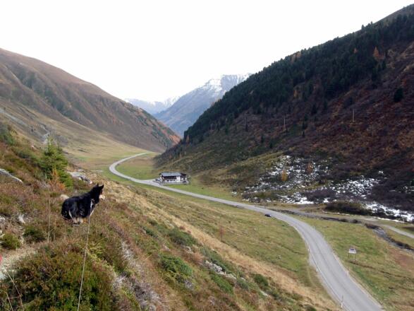 Blick zur Zirmbachalm