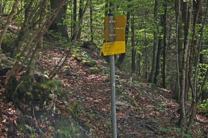 Wie gehabt.