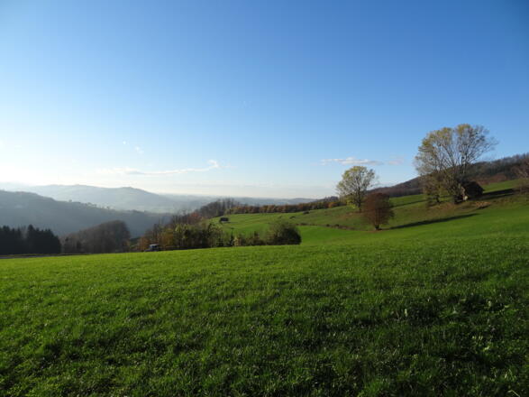 gepflegte Kulturlandschaft im Alpenvorland