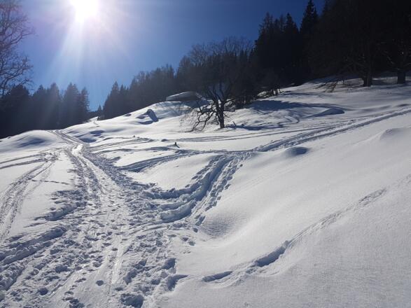 Winter vom Bilderbuch