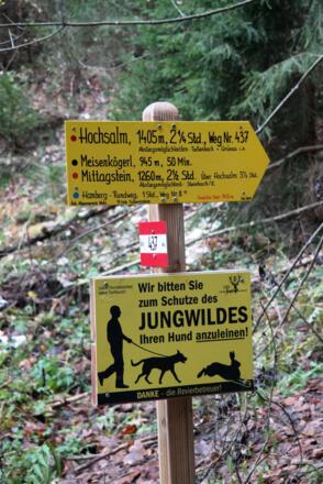 Diese Wegweiser leiten in Richtung Hochsalm und geben anfangs den Weg vor.