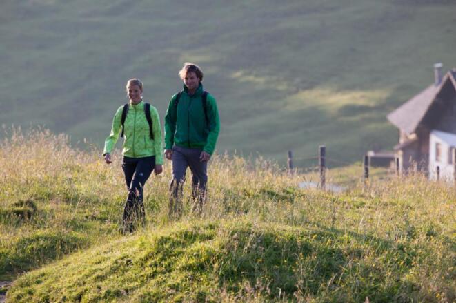Tiroler Adlerweg - Zirben, Tannenhäher und Almrosen