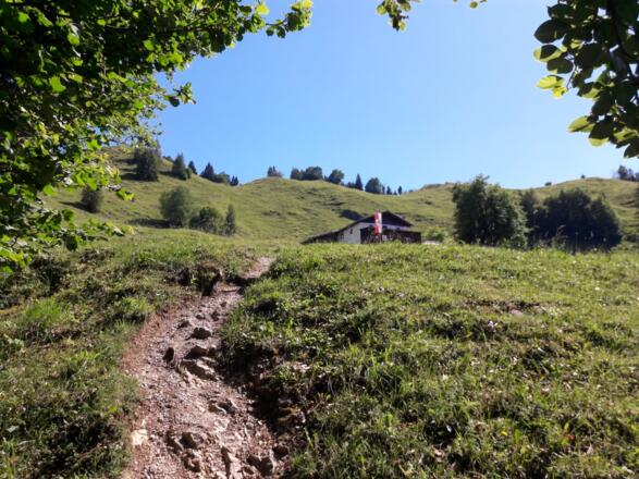 Kurz vor der Möslalm