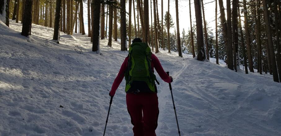 Durch den Wald höher Richtung Kreufaxen