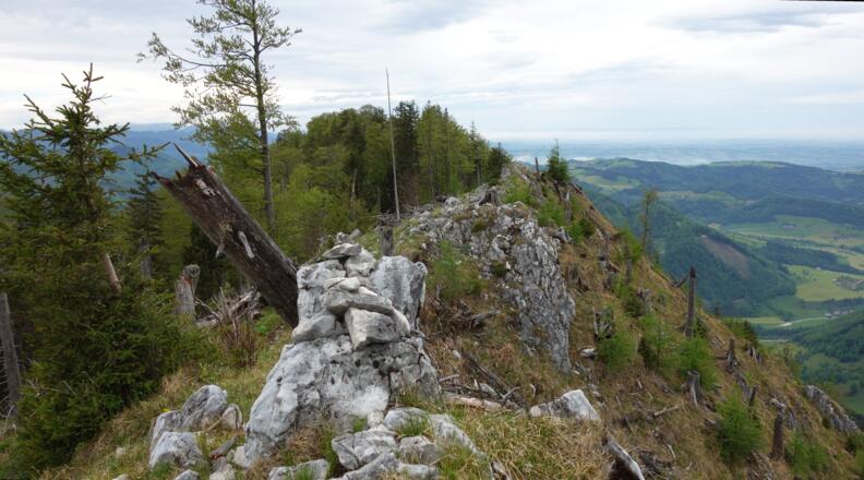 Gaisberg Ostgipfel 1267m, Blick zum Gipfel mit Kreuz