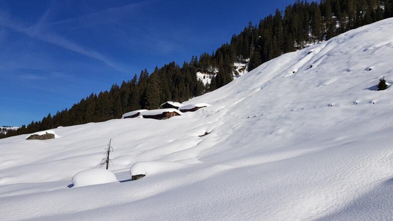 Niederfeldenalm