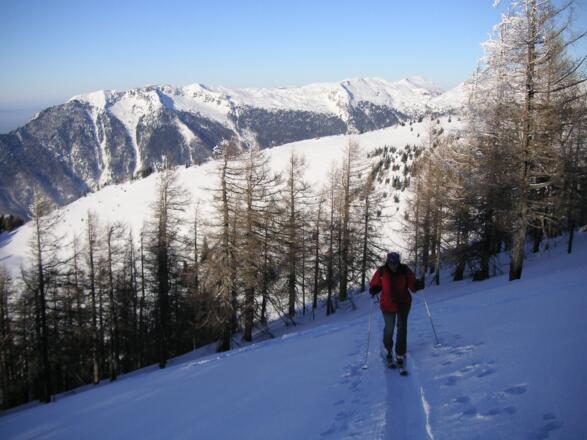 Höllengebirge aus dem Gipfelhang