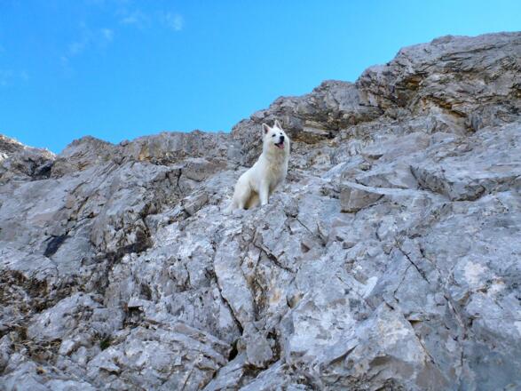 leichte Kletterei beim Aufstieg zur hinteren Bachofenspitze