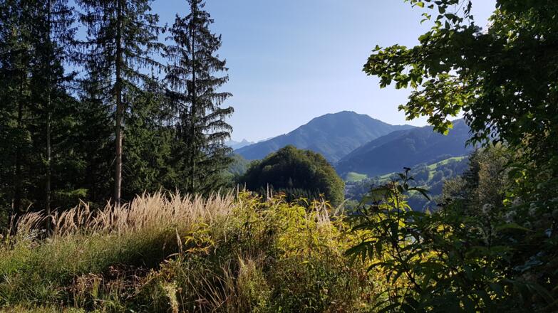 bei der Abfahrt Richtung Kleinreifling