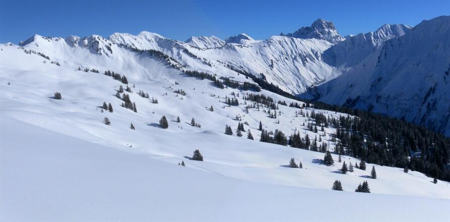Falzalpe, Kreuzmandl, Grünhorn und Widderstein
