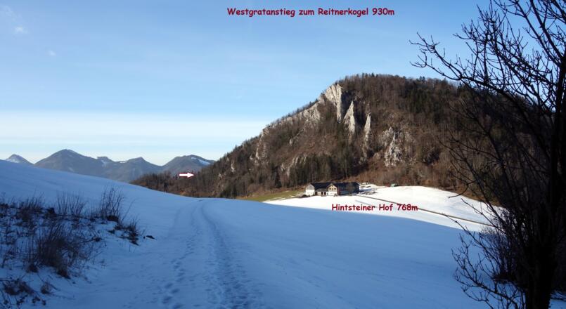 Rückkehr Hintsteiner