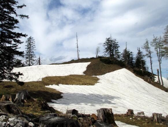 Loskogel 1538m