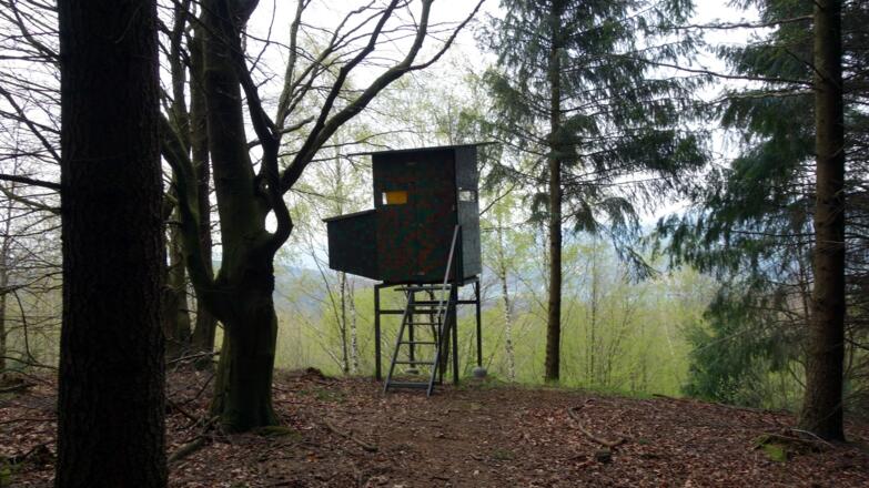 Jagastand ~500m, links zum Weg und zum Kürnberg