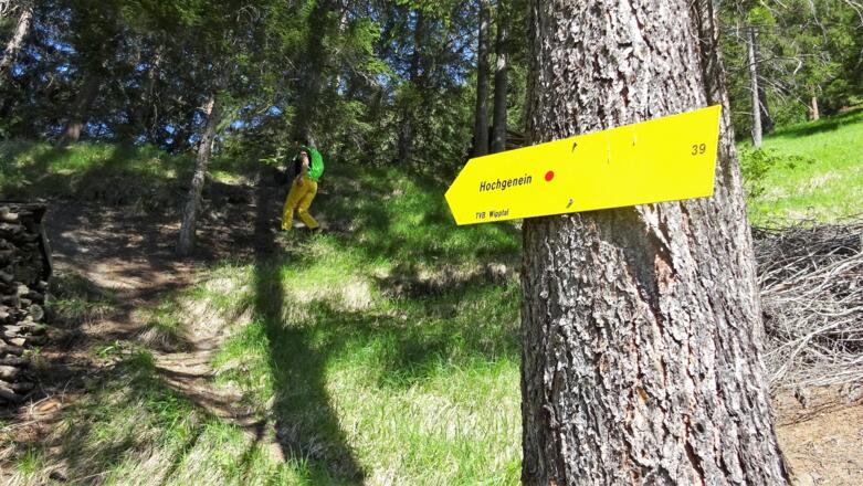 ... links der Weg nach Hochgenein abzweigt.