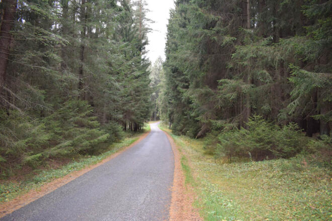 Straße durch den Wald nach Unterpaßberg
