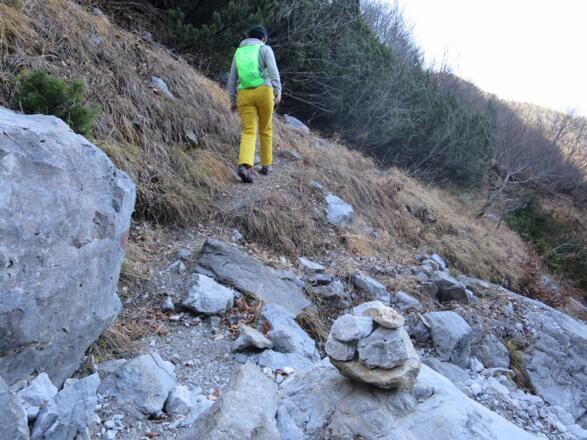 ... bis wir auf ca. 1400 m den Weg 220 kreuzen.