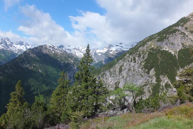 Blick in die Allgäuer Alpen